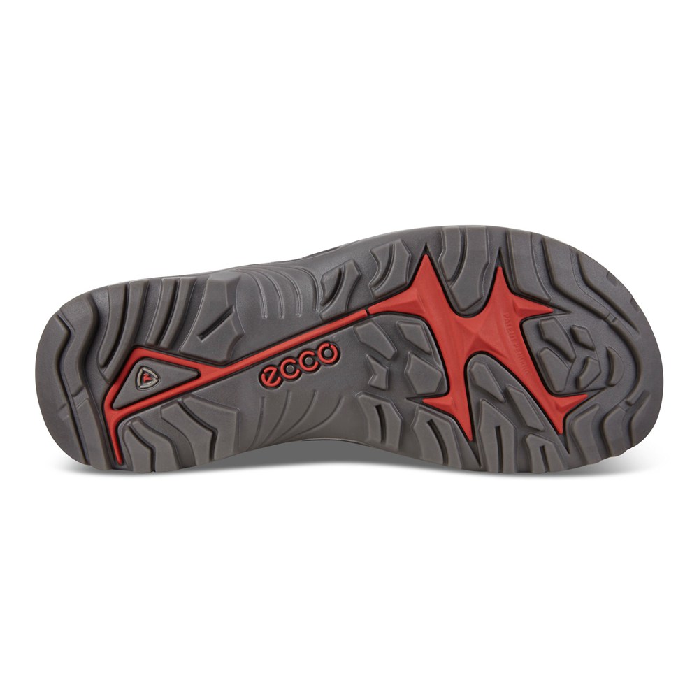 Sandalias Hombre - ECCO Offroad Flat - Negros - KWN358146